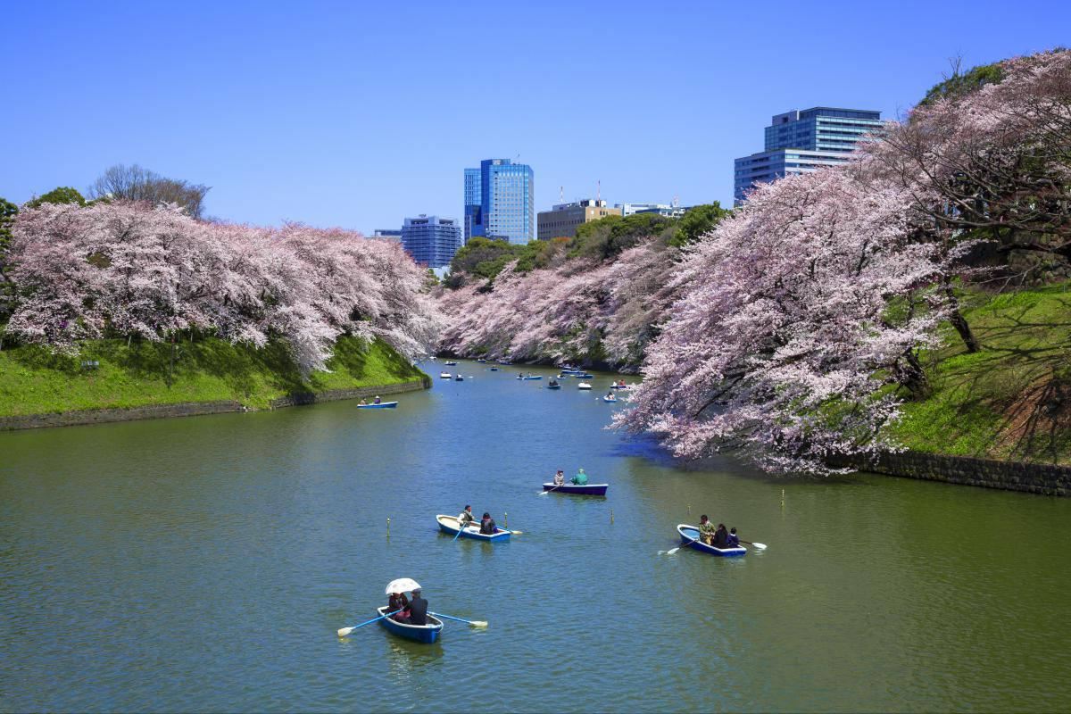 Du Lịch Nhật Bản mùa hoa Anh Đào 6 ngày 5 đêm 